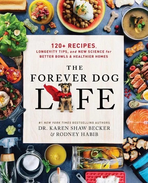 The Forever Dog